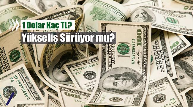 Dolar bugün 11 Ağustos 2020 ne kadar, kaç TL?