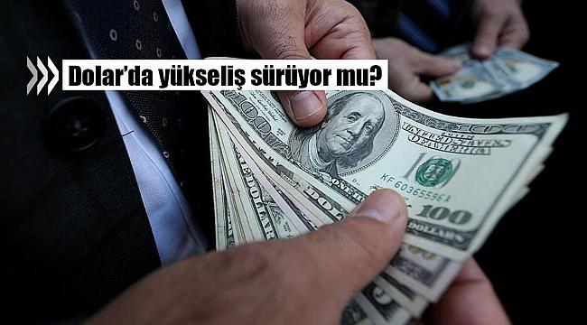 Dolar haftaya nasıl başladı? 10.8.2020 Dolar ve Euro kaç TL?