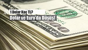Dolar kurunda Merkez Bankası etkisi başladı mı? Dolar ve Euro düşüş trendine mi girdi?