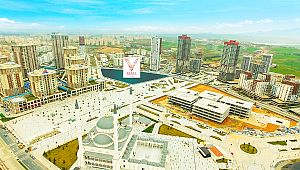 İstanbul Başakşehir'e