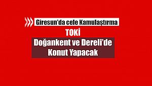 Giresun'da afet sonrası o yerlerde konut yapımı için kamulaştırma kararı çıktı