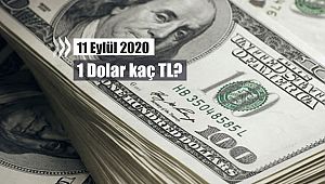 Haftanın son iş günü 1 Dolar ne kadar oldu, kaç TL? 11.09.2020 dolar yorum