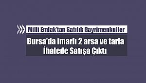 Milli Emlak'tan satılık Bursa'da imarlı 2 arsa ve tarla