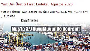Yurt Dışı Üretici Fiyat Endeksi (YD-ÜFE) Ağustos'ta yüzde 7.46 arttı
