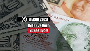 1 Dolar bugün ne kadar oldu, kaç TL'den işleme başladı! Döviz kurları artıyor...
