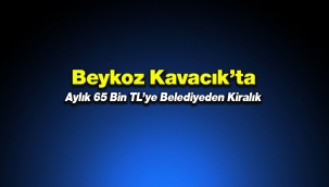 İstanbul Beykoz'da 65 bin TL'ye Belediyeden kiralık gayrimenkul