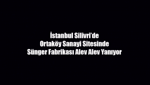 İstanbul Silivri'de bir sanayi sitesinde korkunç fabrika yangını