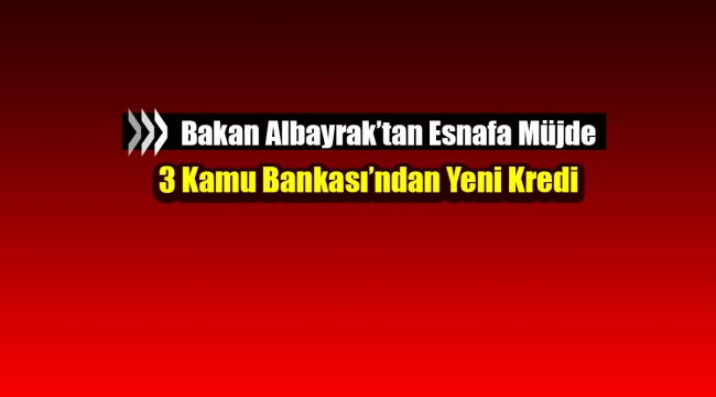 Son Dakika: Bakan Albayrak'tan küçük işletmelere cirolarına göre KGF destekli mikro kredi müjdesi