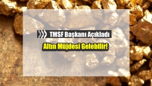 TMSF'den altın keşfi açıklaması! Sondajlardan bu kez altın müjdesi gelebilir