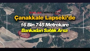 Çanakkale Lapseki'de Bankadan satılık kelepir tarla vasıflı arsa