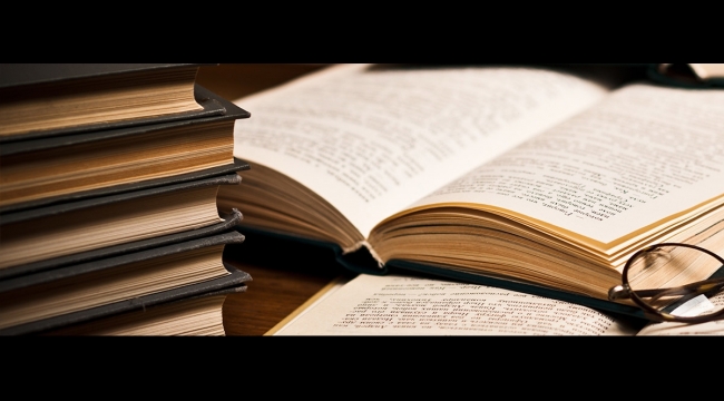 Meslek Birlikleri yetki belgesi yönetmeliği