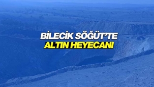 Bilecik Söğüt'te keşfi yapılan 3.5 milyon ons altın rezervi büyük heyecan yarattı
