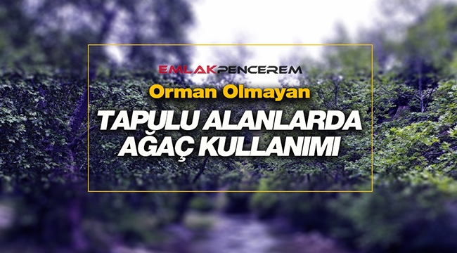 Tapulu taşınmazlar üzerinde ağaç kullanımı hakkında yeni düzenleme
