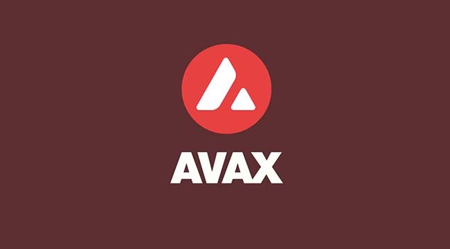 AVAX Avalanche Coin rekor kırıyor