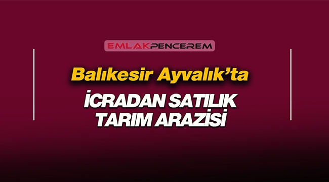 Balıkesir'de icradan satılık 27 bin metrekare büyüklüğünde fıstıklık tarım arazisi