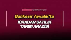 Balıkesir'de icradan satılık 27 bin metrekare büyüklüğünde fıstıklık tarım arazisi
