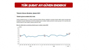 Güven endeksi Şubat'ta 84,5 oldu