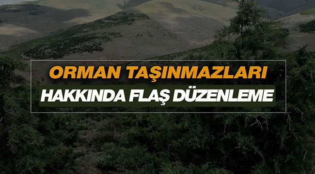 Orman Genel Müdürlüğü gayrimenkulleri hakkında flaş düzenleme