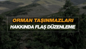 Orman Genel Müdürlüğü gayrimenkulleri hakkında flaş düzenleme