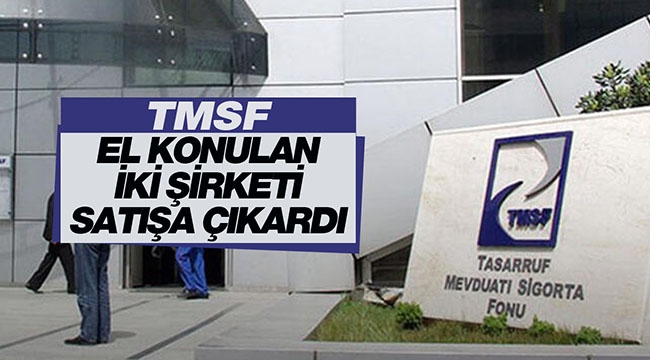 TMSF elindeki 2 şirketi satışa çıkardı