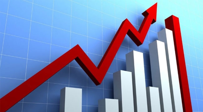 Türkiye ekonomisi 2020'de ne kadar büyüdü?