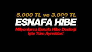 5.000 TL esnaf hibe ödemesi kimlere yapılacak, hibe ödemesi ne zaman yapılacak?