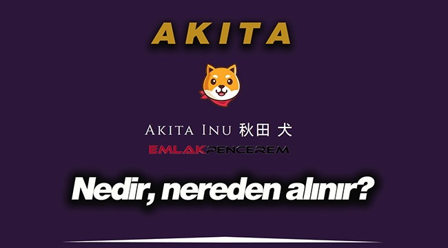 Akita Inu (AKITA) nedir, piyasa değeri, fiyatı kaç TL? AKITA coin nereden alınır, hangi borsada işlem görüyor?