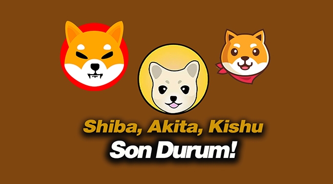 Akita INU, Kishu INU ve Shiba INU 28 Mayıs fiyatları son durum!