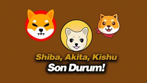 Akita INU, Kishu INU ve Shiba INU 28 Mayıs fiyatları son durum!