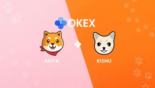 Akita INU ve Kishu coin OKEx platformunda listelendi