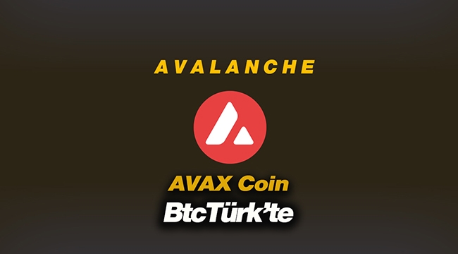 AVAX Avalanche coin BtcTürk borsasında listelenecek! AVAX coin 12 Mayıs teknik analiz