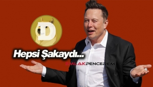 Dogecoin manüpilasyonları sonrası Elon Musk:
