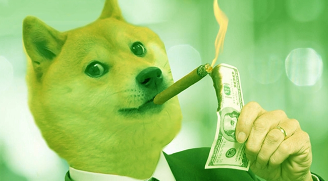 Dogecoin zengin edince! Londra'daki Goldman Sachs'ın genel müdürü verdi istifasını...