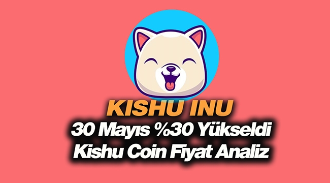 Kishu INU bugün yüzde 30 civarı toparlandı! KISHU coin 30 Mayıs fiyat analizi