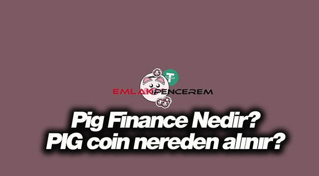 Pig Finance (PIG) coin nedir, hangi borsalarda satılıyor? PIG Token geleceği ve fırsatları...