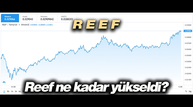 Reef coin yönünü yukarı çevirdi mi? REFUSDT 20 Mayıs yüzde 24 yükseldi
