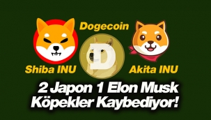 Shiba INU, Akita INU coinleri ile Dogecoin her gün yüzde 10 düşüyor!