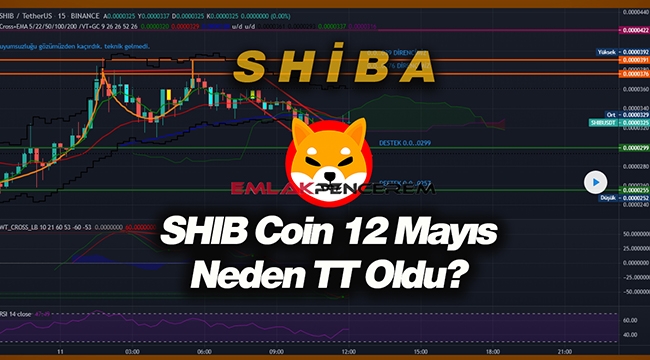 SHİBA INU neden TT oldu? Shiba coin sert yükselmeden yataya geçti...