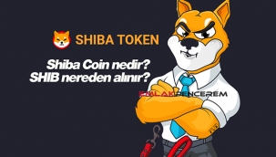 Shiba (SHIB) Token nedir, neden gündem oldu? SHIB coin 8 Mayıs sert yükseldi yüzde 128 kar etti