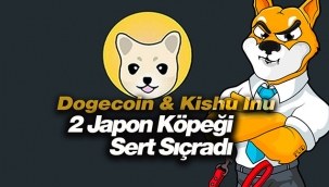 Bu 2 Japon köpeği yükselişe geçti! Dogecoin ve Kishu Inu sert sıçradı...