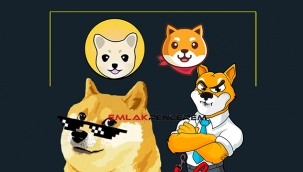Bu 4 Japon köpeği haftaya nasıl başladı? DOGE, SHIB, KISHU, AKITA coin son durum...