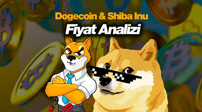 Dogecoin, Shiba Inu son durum! DOGE - SHIB fiyat analizi...