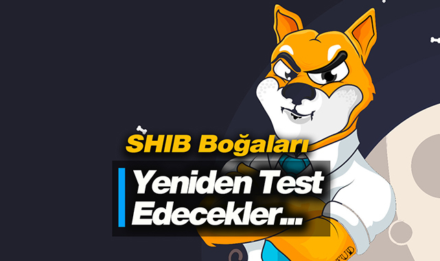 Shiba Inu fiyatı, SHIB boğaları önemli desteği yeniden test edecek