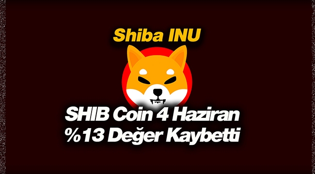Shiba Inu (SHIB) yüzde 13 geriledi! SHIB coin düşeni toparlayabilecek mi?