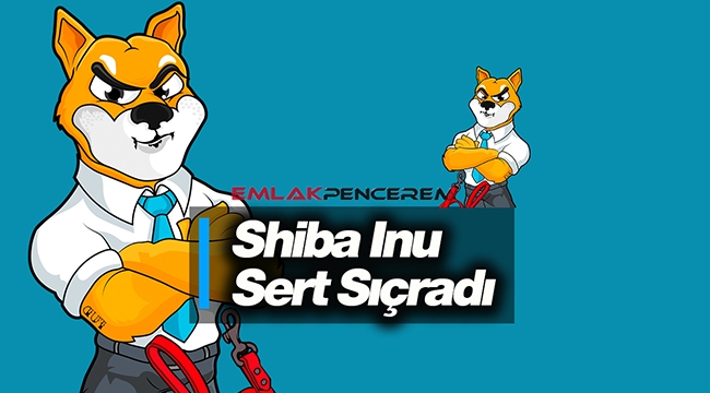 Shiba (SHIB) sert yükseldi! SHIB coin 25 Haziran yüzde 11 sıçrama yaptı...