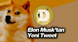 Elon Musk,