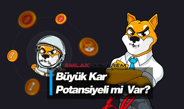 Shiba Inu (SHIB) beklenenden daha iyi! Analist SHIB coin'de büyük kar potansiyeli görüyor