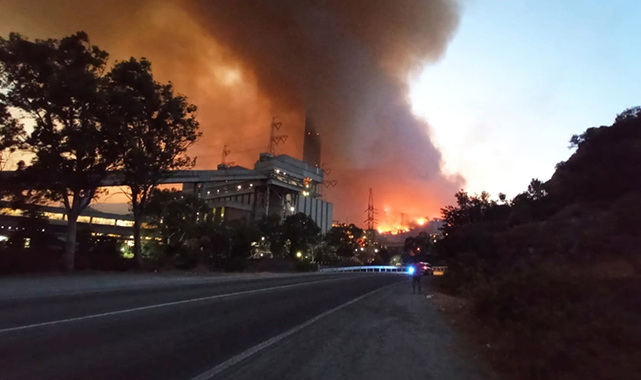 Milas Kemerköy Termik Santrali ile ilgili Fahrettin Altun'dan açıklama