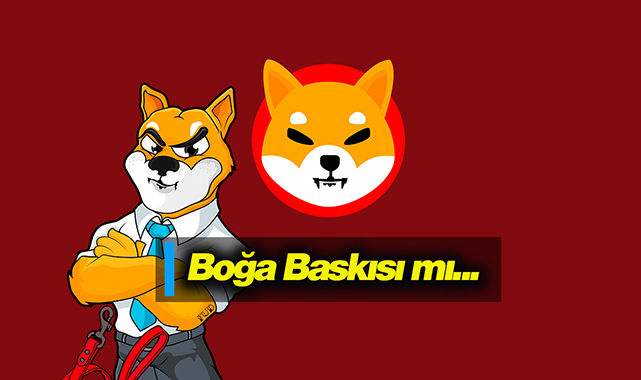 Shiba Inu üzerinde boğa baskısı mı var? SHIB hareketsiz biçimde sıkıştı...
