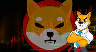 Shiba Inu (SHIB) takipçisi ve hacmi genişliyor! SHIB coin 22 Eylül fiyat analizi